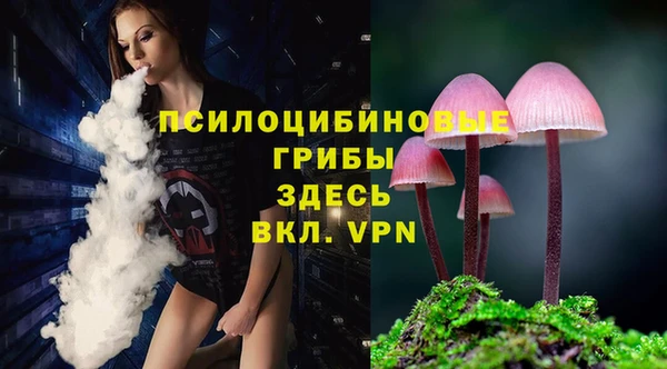 прущий лед Киренск