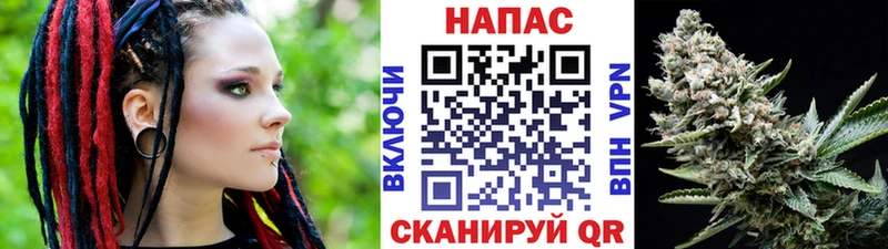 Купить закладки  Бирюч  Канабис Amnesia 